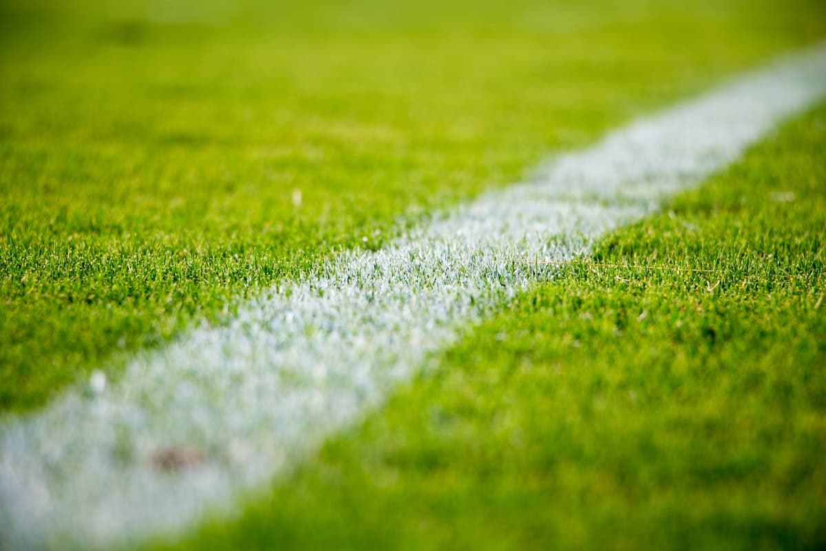 Hotels Near US Bank Stadium Minneapolis: Game Day Group Guide